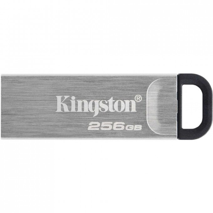 Флешка KINGSTON 256GB DTKN/256GB Флешка KINGSTON 256GB DTKN/256GB